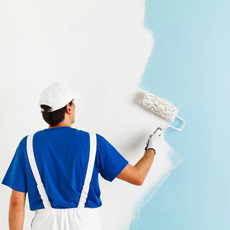 Foça iç cephe boyama